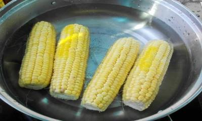 煮玉米需要多长时间（煮玉米需要多长时间冷水下锅吗）